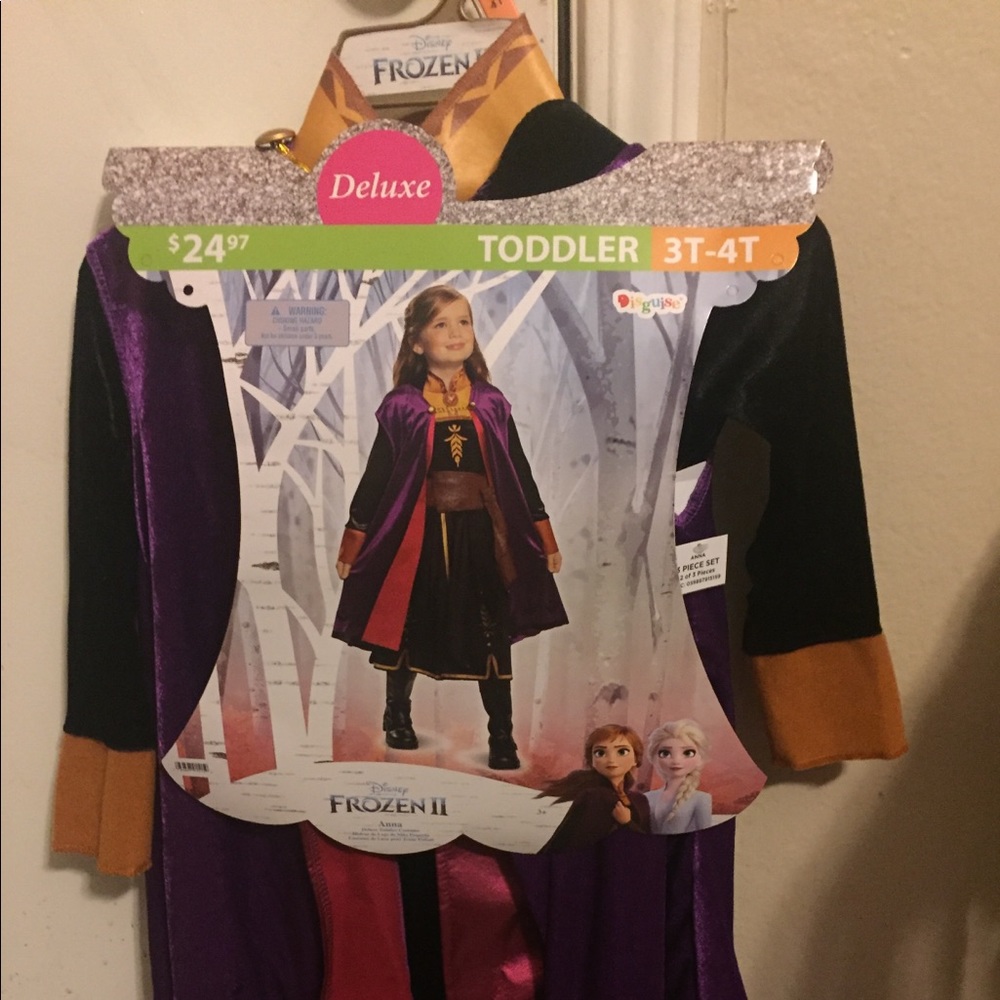 Princess Anna costume